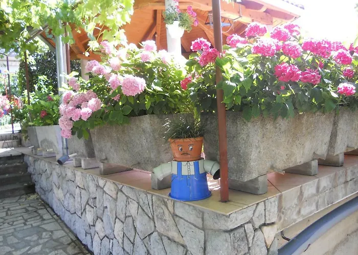 - The View Guest house Novi Vinodolski